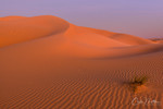 Al Khatim Desert, Al