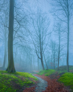 Mist in Wassenaar